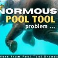 Expect More From Pool Cleaning Tools