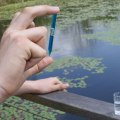 Testing Water pH Level: A Comprehensive Overview