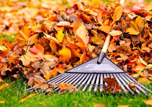 Leaf Rakes and Scoops: All You Need to Know